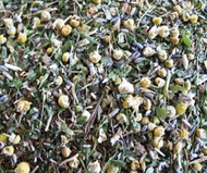 Rhiannon's Dream from Blessed Thistle, available through Humboldt Herbals