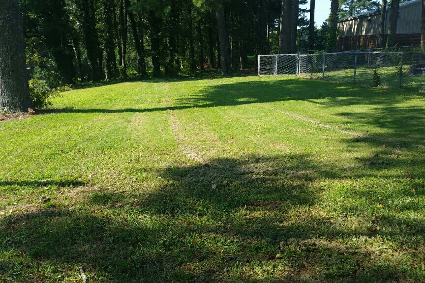 Field 2