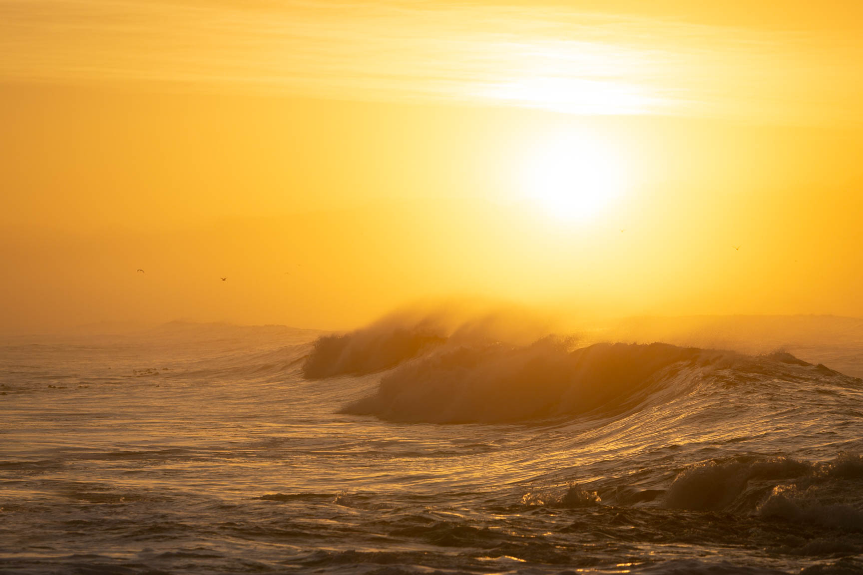 Sunrise over False Bay with waves and birds