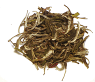 Snow Bud (Xue Ya) from Teahouse Kuan Yin