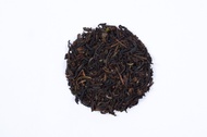 Daily Darjeeling  Black Tea By Golden Tips Teas from Golden Tips Teas