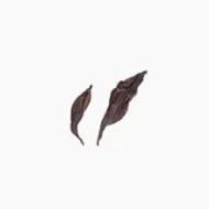 The Wen Family's Song Zhong Black from Spirit Tea