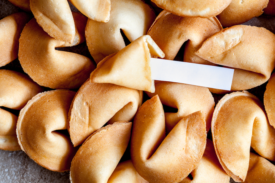 Fortune Cookie Factory Tour in Oakland in San Francisco Book Tours