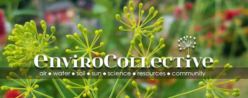 EnviroCollective logo