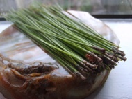 Pine Needle Green Rooibos from Madametj's Fresh Garden
