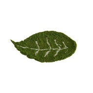 Matcha Superior from KIMICHA