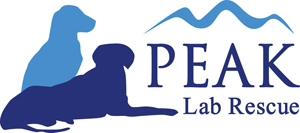 Peak Lab Rescue logo