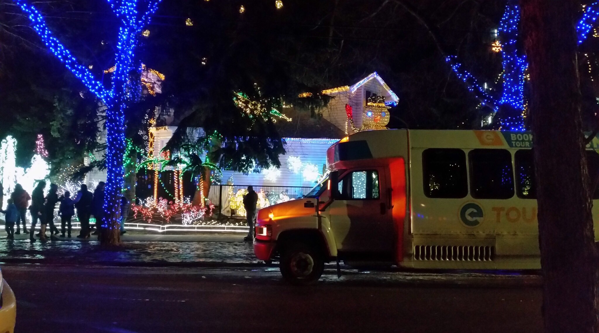 Christmas in Edmonton lights tour Book Tours & Activities at