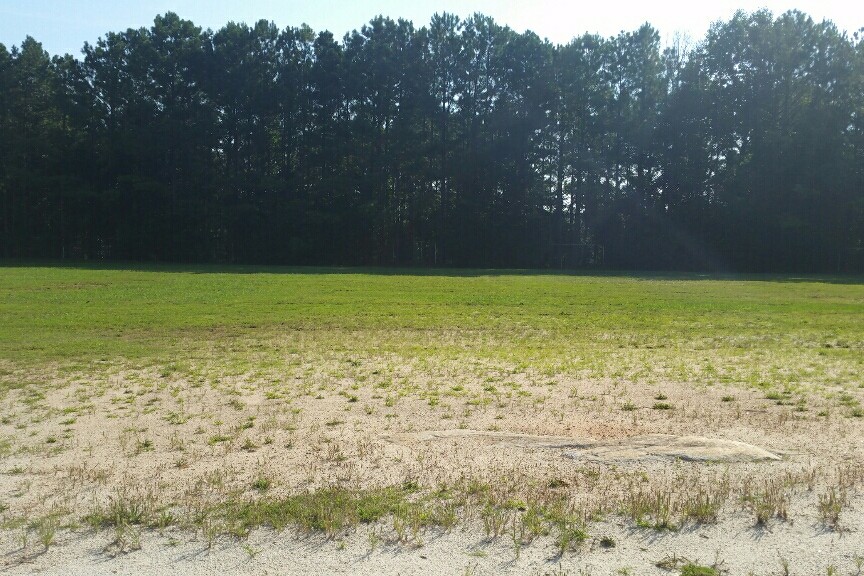 Soccer Field