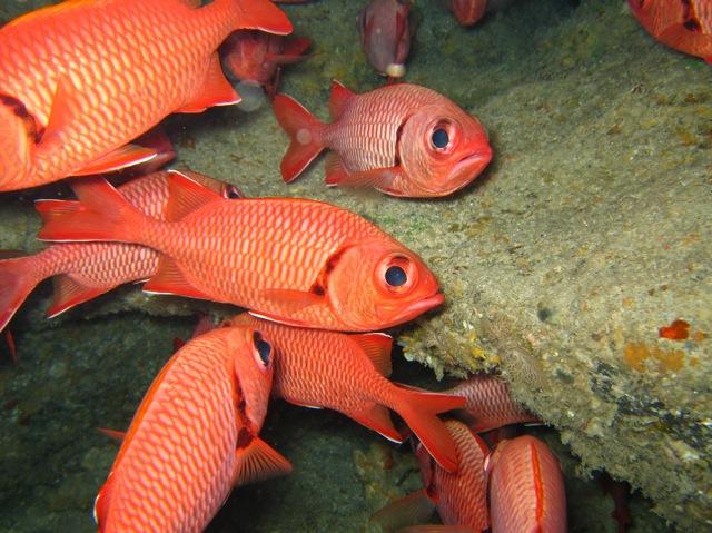 Aware -Cleanup Event