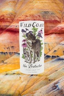 The Protector from Wild Coast Brew