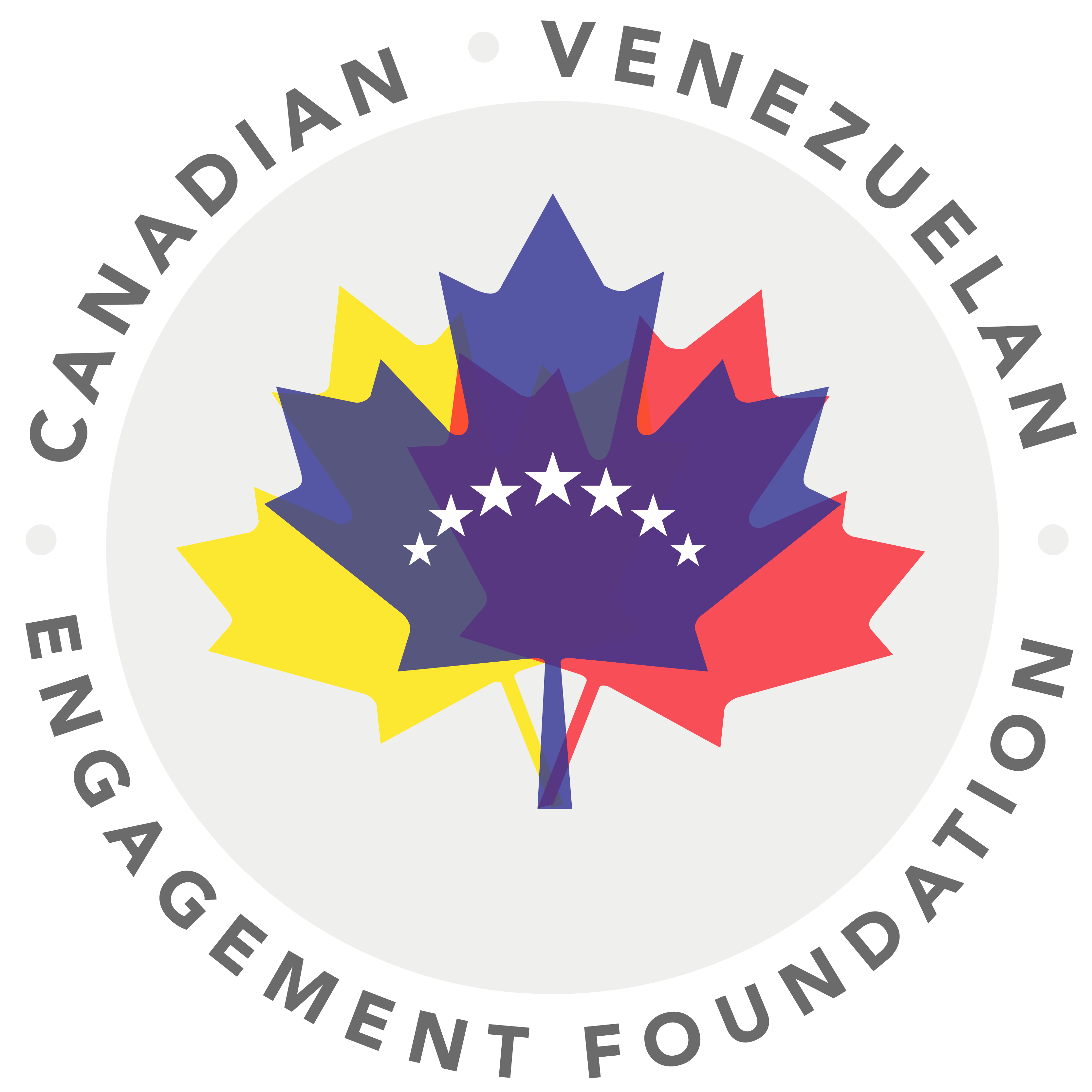 Canadian Venezuelan Engagement Foundation logo
