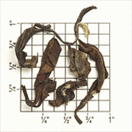 Organic Imperial Bai Hao Oolong from Upton Tea Imports