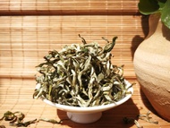 Early Spring "Yunnan Mao Jian" Pure Bud Green Tea from Yunnan Sourcing