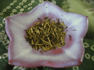 Kukicha from Tsaa Tea Shop