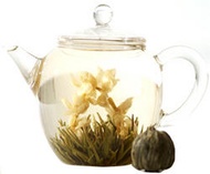 Flowering Jasmine Arch Tea from Jing Tea