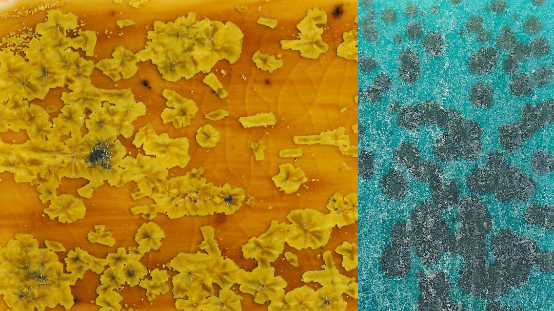 Product image for Glaze of Our Lives: Understanding Glazes for Beginners