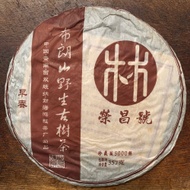 2006 Bulang Yesheng Sheng Pu-Erh (Malaysian Storage) from TheTea