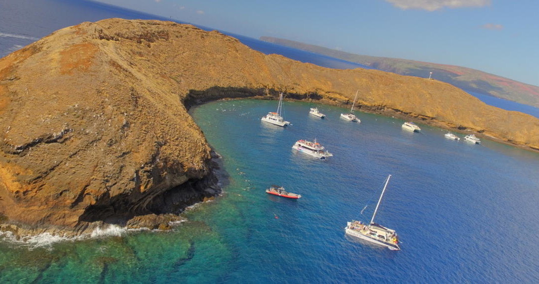 Reef Explorer Private Charter photo 1