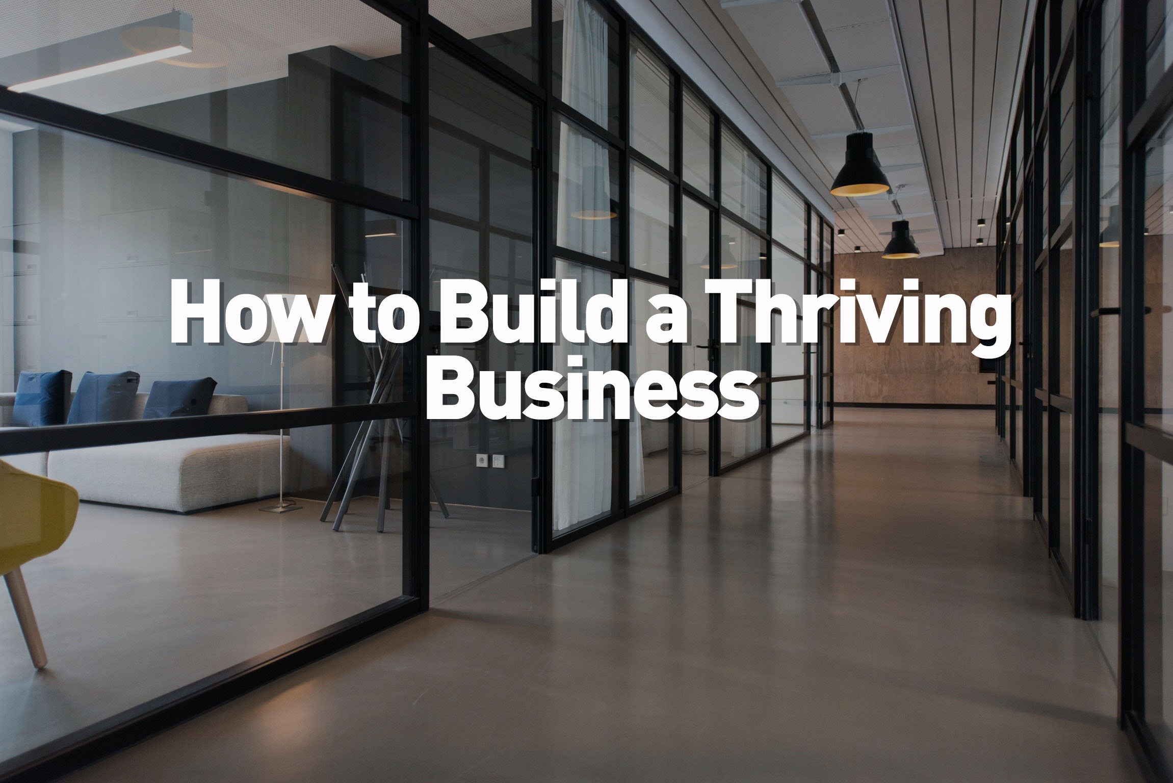 Product image for How to Build a Thriving Business