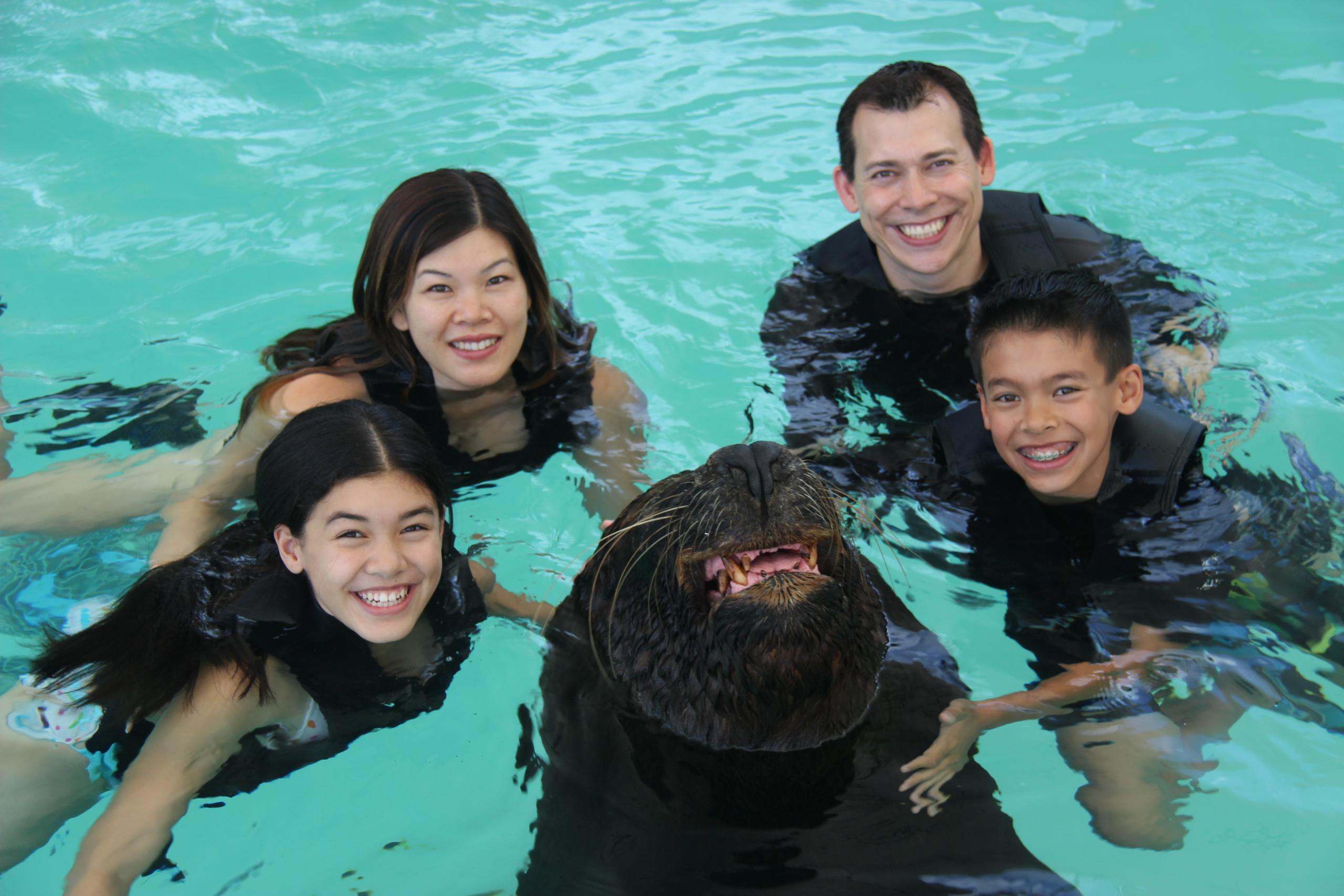 Sea Lion Splash & Swim photo 3
