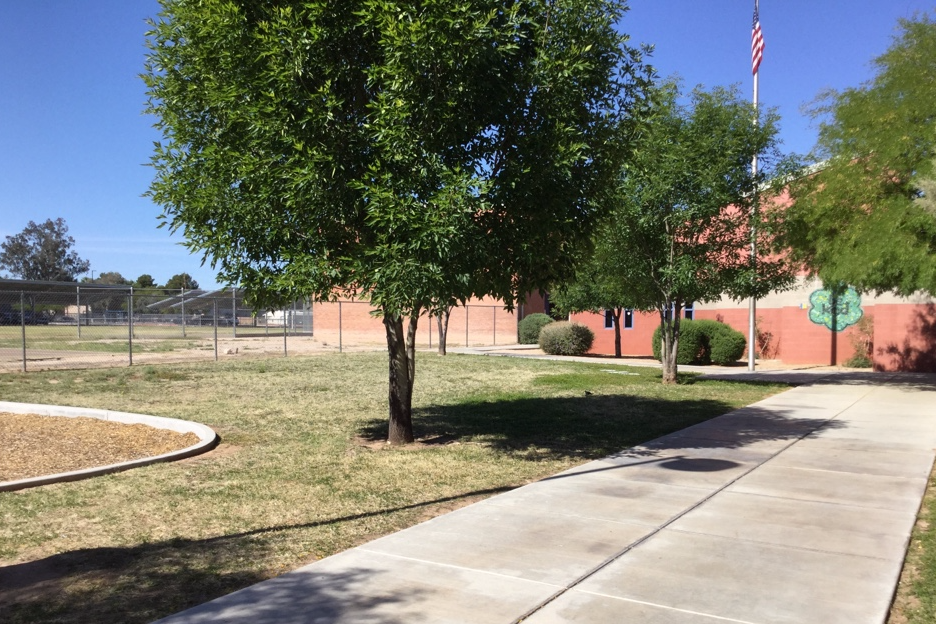 Front Field and Playground