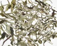 Namring Upper White Tea 2010 from Golden Tips