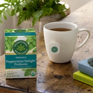 Organic Peppermint Delight Probiotic from Traditional Medicinals