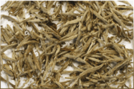 Silver Needle from Bird Pick Tea & Herb