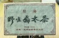 2003yr Aged Yunnan Menghai Wild Arbor Big Leaf Ripe Cooked Puerh Brick Tea from EBay Streetshop88