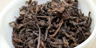 1996 Shou Pu-erh, Loose-leaf from Red Blossom Tea Company