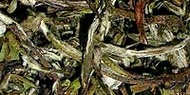 Melon Drop from Remedy Tea