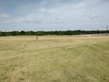 Field
