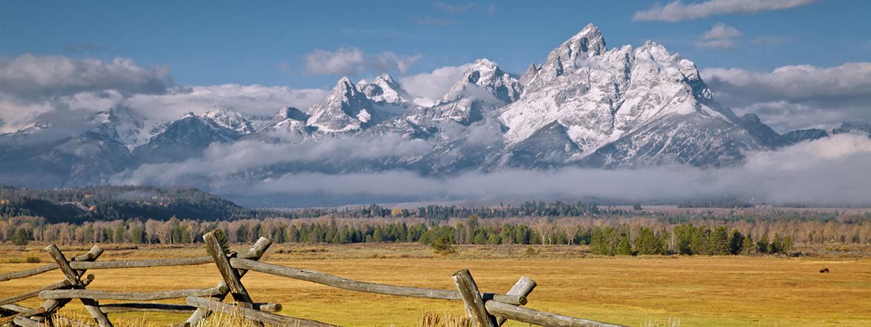 Wildlife & Mountain Views: Grand Teton Safari with Grizzly Country Wildlife Adventures - Jackson