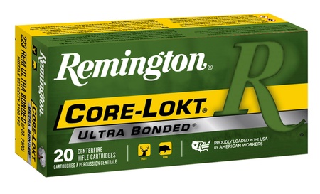 Remington Rem R223r8 Bare Arms Indoor Range