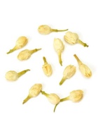 Jasmine Herbal Tea from Teavivre