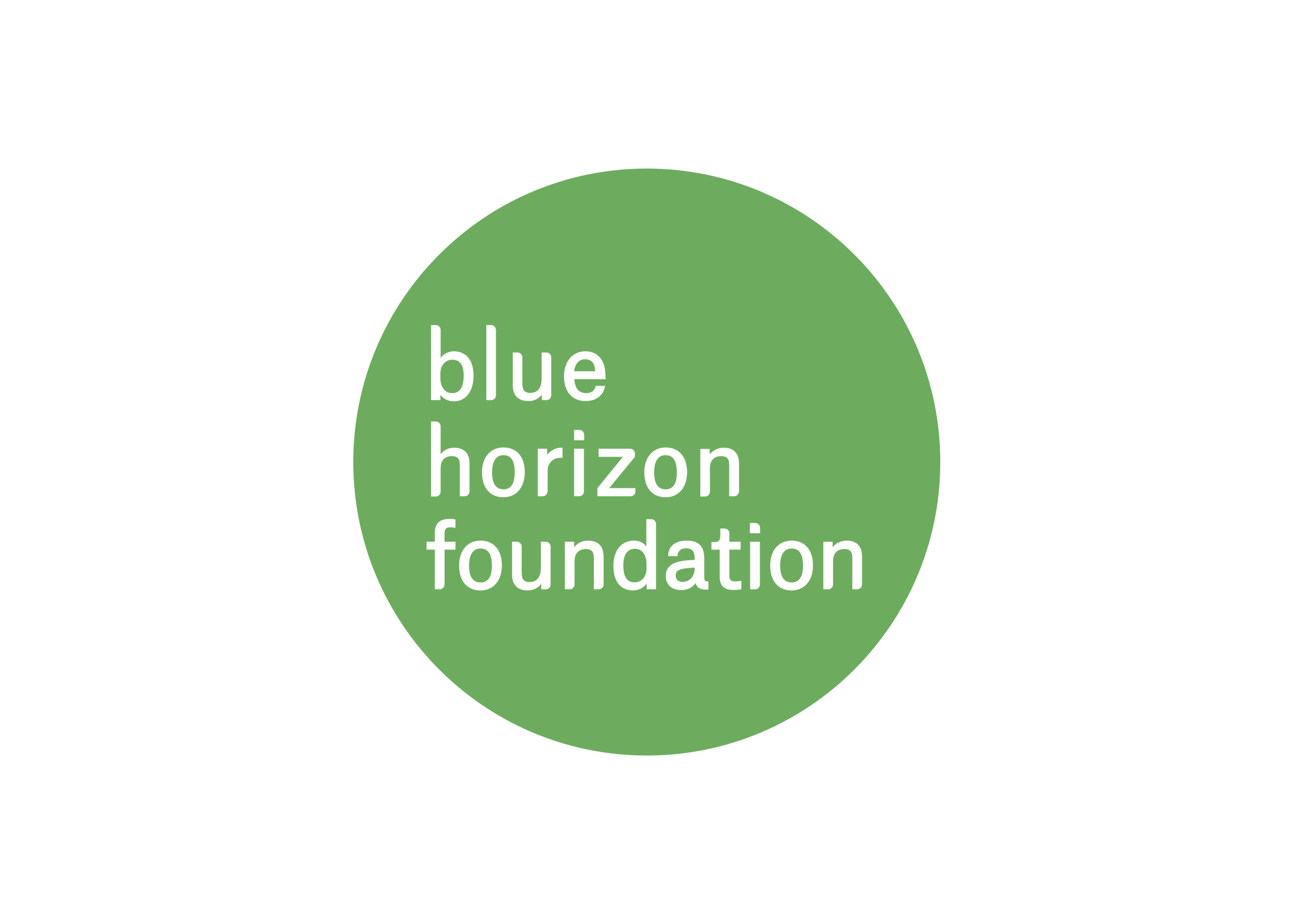 Blue Horizon International Foundation logo