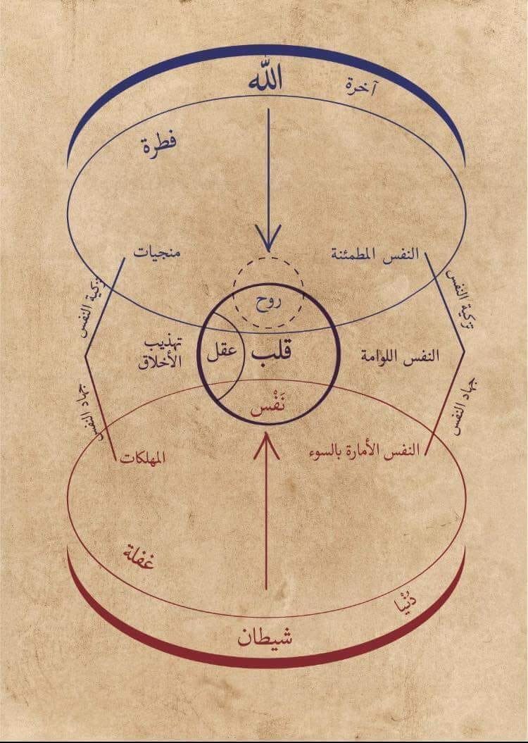 Product image for Islamitische studiebundel