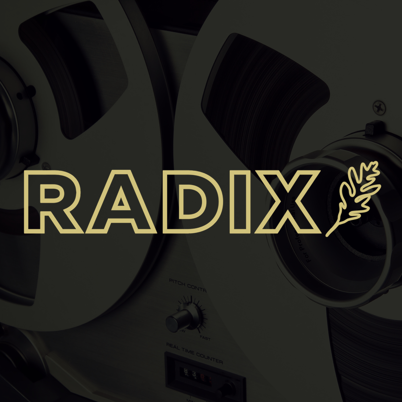Radix LLC logo