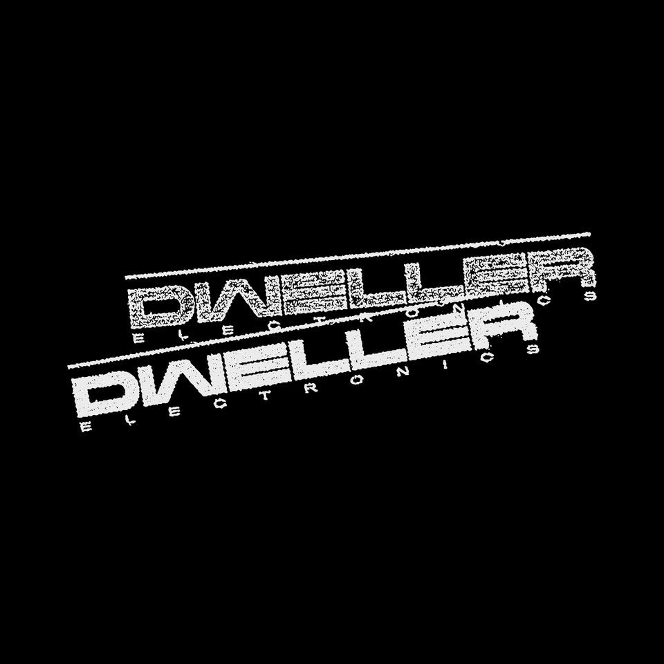 Dweller V True Polar Wander Opening Celebration MoMA PS1