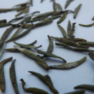 Mengding Yellow Buds from tea-adventure