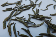 Mengding Yellow Buds from tea-adventure