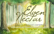 Elven Nectar from Riddle's Tea Shoppe and Curiosities
