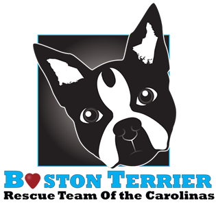 boston-logo1png