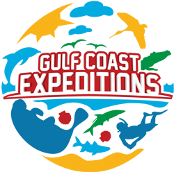 Gulf Coast Expeditions