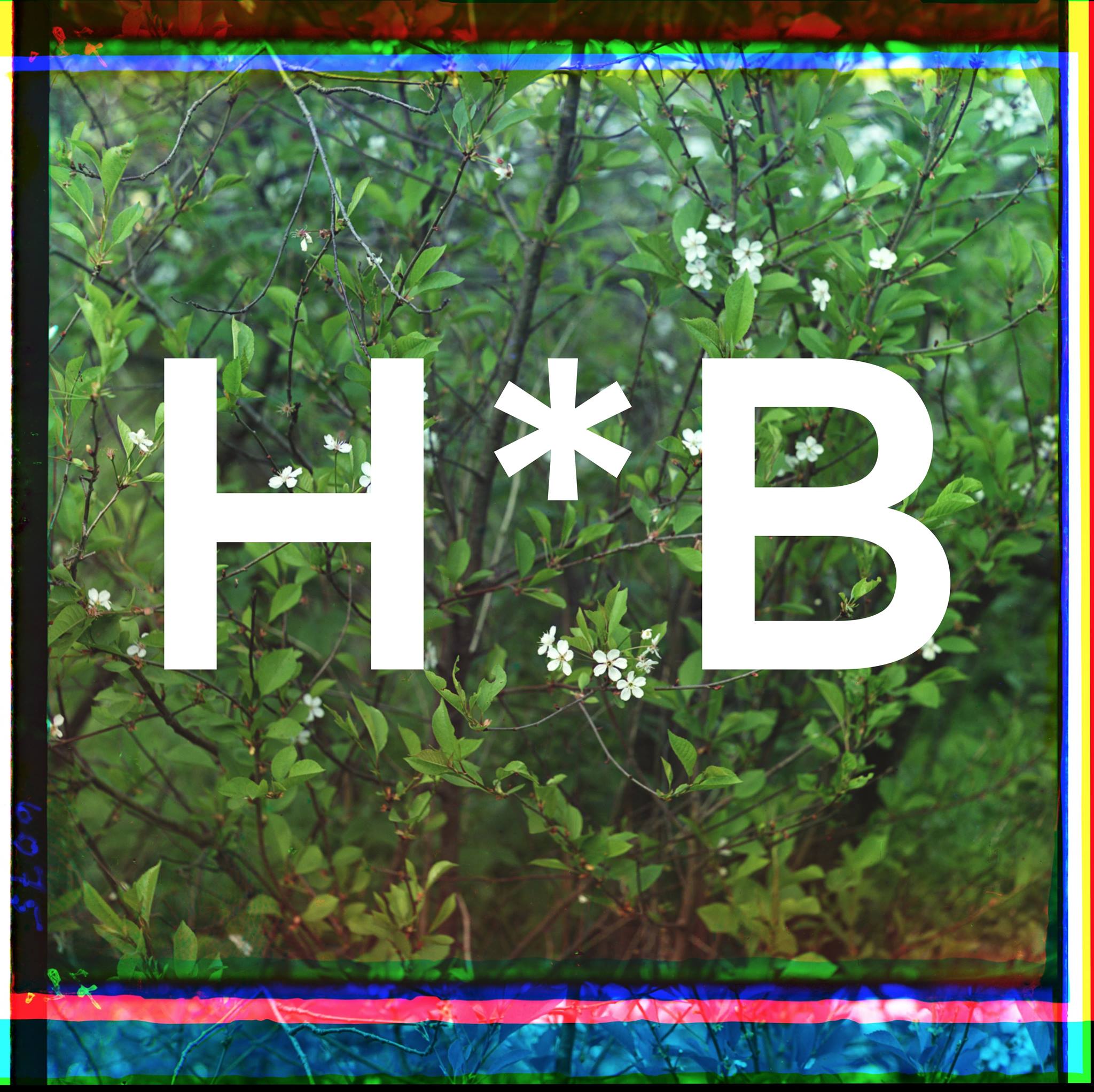 HACK*BLOSSOM Donations HACK*BLOSSOM (Powered by Donorbox)