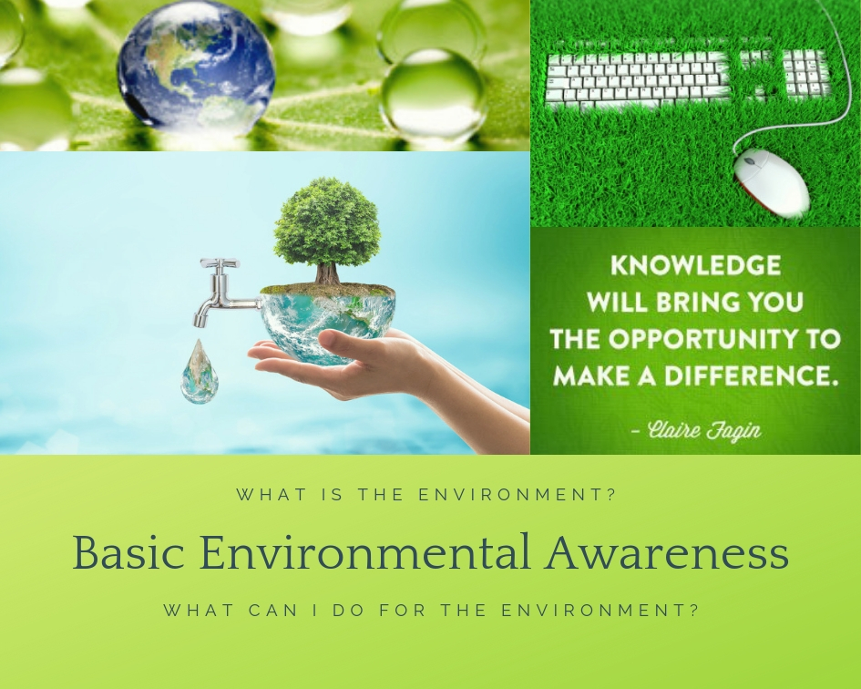 Basic Environmental Awareness | Yebo Siyafunda