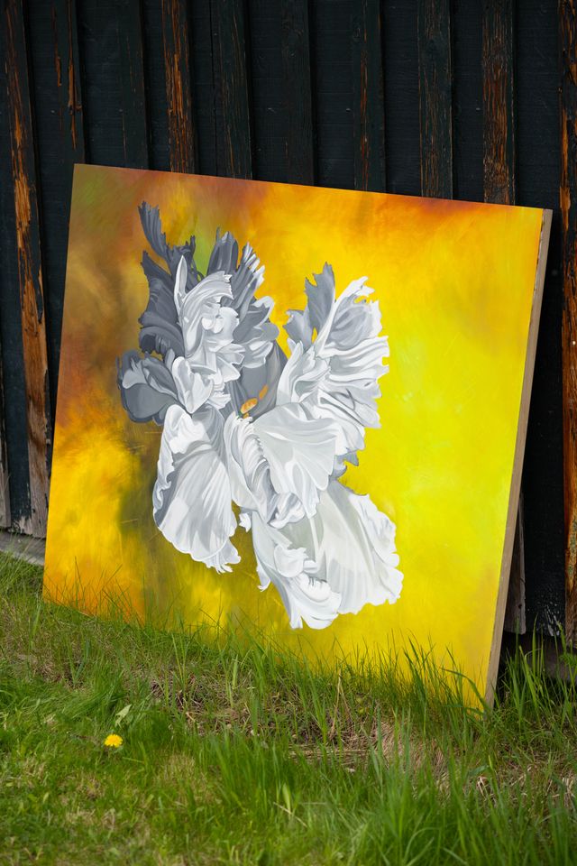 image: 