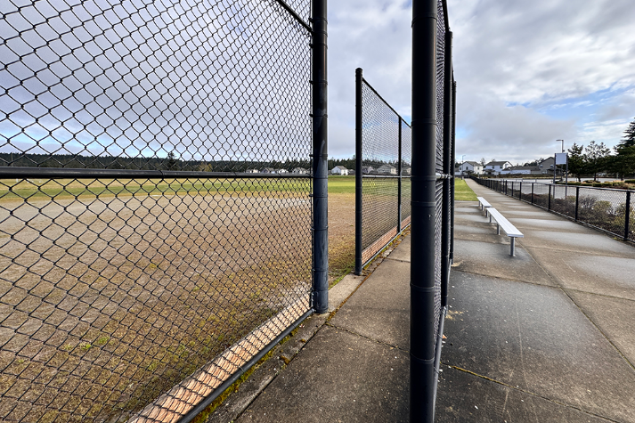 Baseball Field Grass