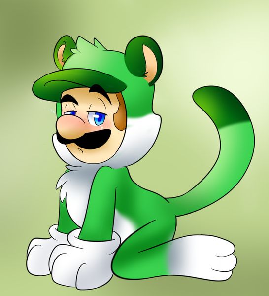 A Luigi Fanatic. 